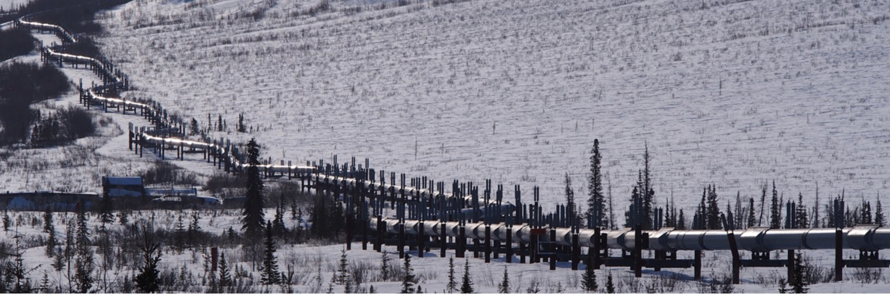 Figure 1: The Trans-Alaska Pipeline snakes across the tundra, just south of the Arctic Circle, March 2019. Source: Philip Wight.