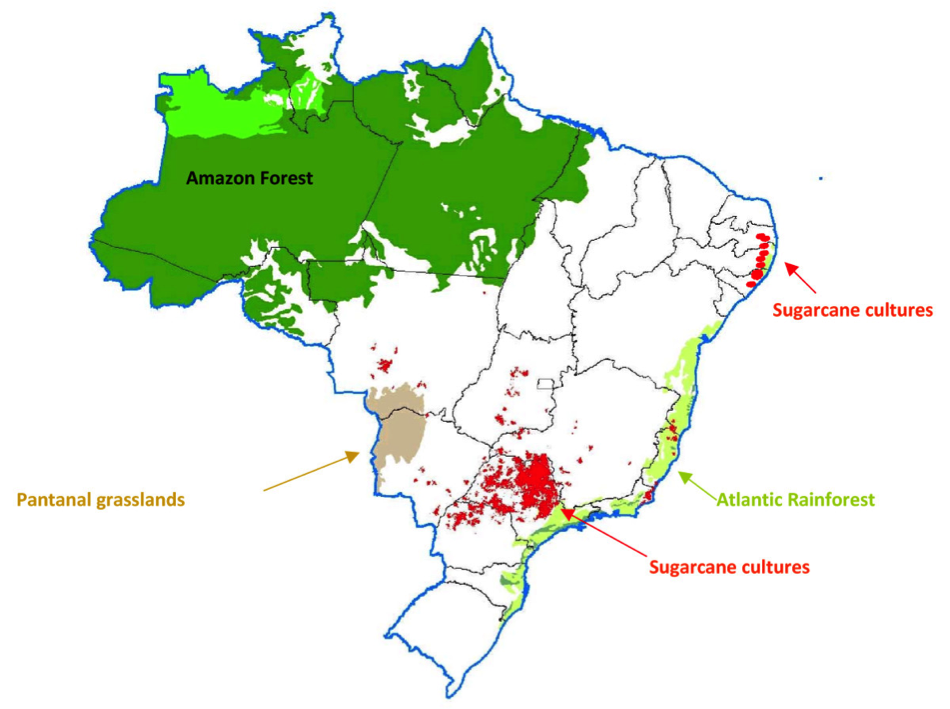 Sugarcane plantations in Brazil (2008). Mills and refineries produce either sugar or ethanol. 